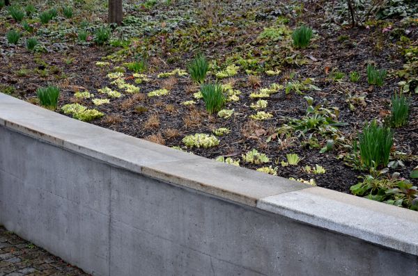 Concrete Wall Construction in Pensacola