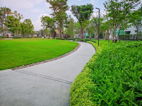 Cement Walkway Service in Pensacola