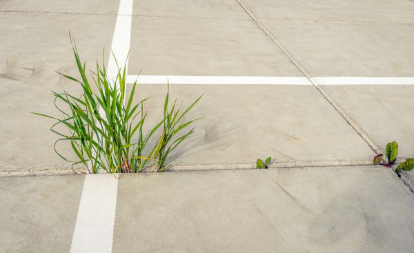 Concrete Parking Installation in Pensacola